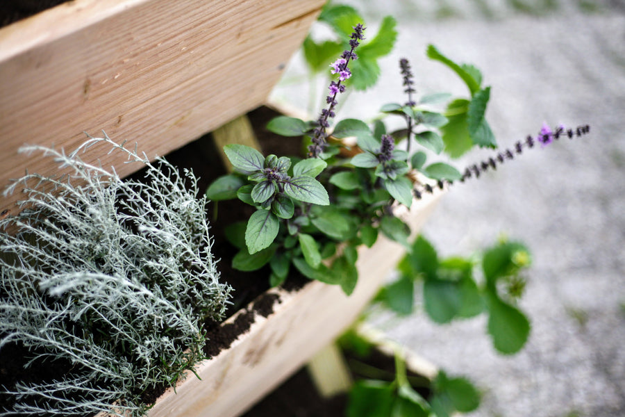 Inspiratie: stapeltuin met kruiden & bloemen
