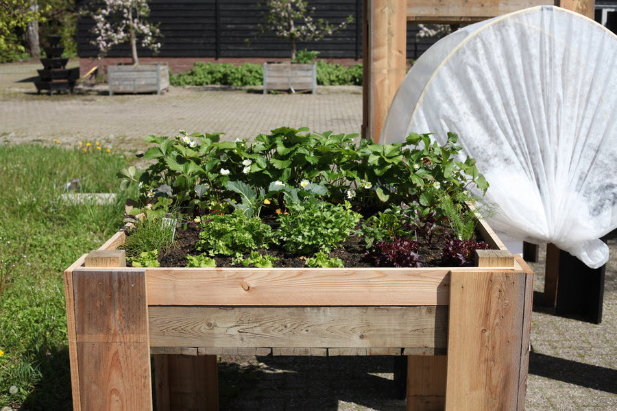 Zin in een Brabants uitje? Kom naar het Leve de Tuin Festival!